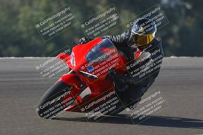 media/Nov-01-2025-TrackDaz (Sat) [[2b4d5192bc]]/B Group/1120am (Turn 2 Inside)/